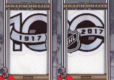 Cam Ward Puzzle Cards