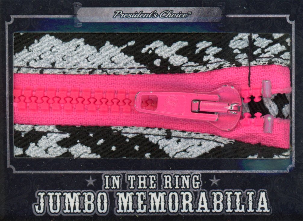 Randy Savage In the Ring Jumbo Memorabilia Silver 3/3